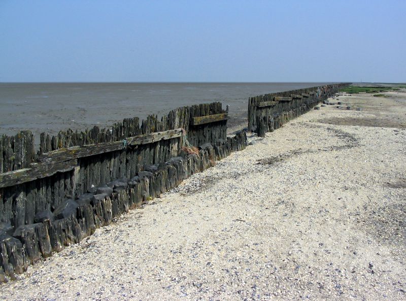 Kwelderwerken bij Moddergat | © Ecomare, Oscar Bos