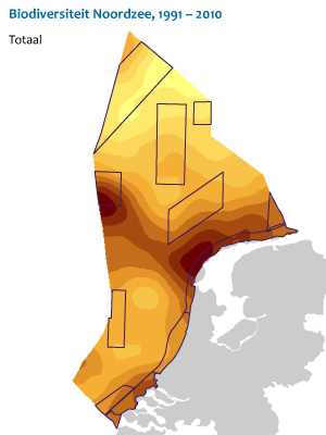 Compendium biodiversiteit Compendium biodiversiteit | © Ecomare