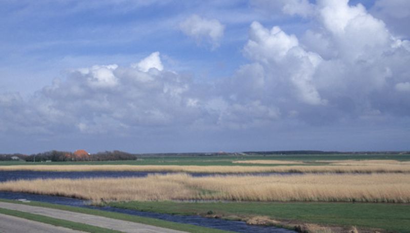 Dijksloot | © Foto Fitis, Sytske Dijksen