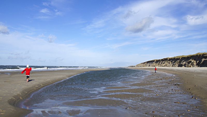 getijdenzone | © Ecomare, Foto Fitis, Sytske Dijksen