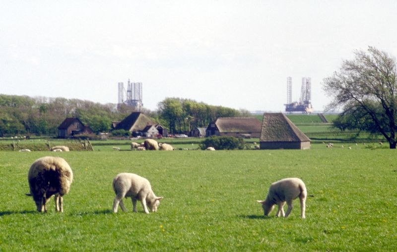 Hoge berg | © Ecomare , Foto Fitis, www.fotofitis.nl