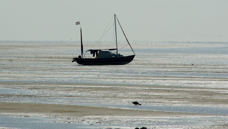 Terschelling | © Ecomare, Foto Fitis, Sytske Dijksen