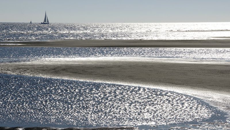Marsdiep Marsdiep | © Ecomare, foto fitis, sytske dijksen