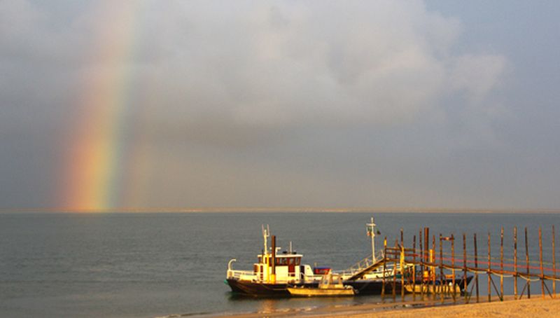Eierlandsche gat | © Ecomare, Foto Fitis, Sytske Dijksen