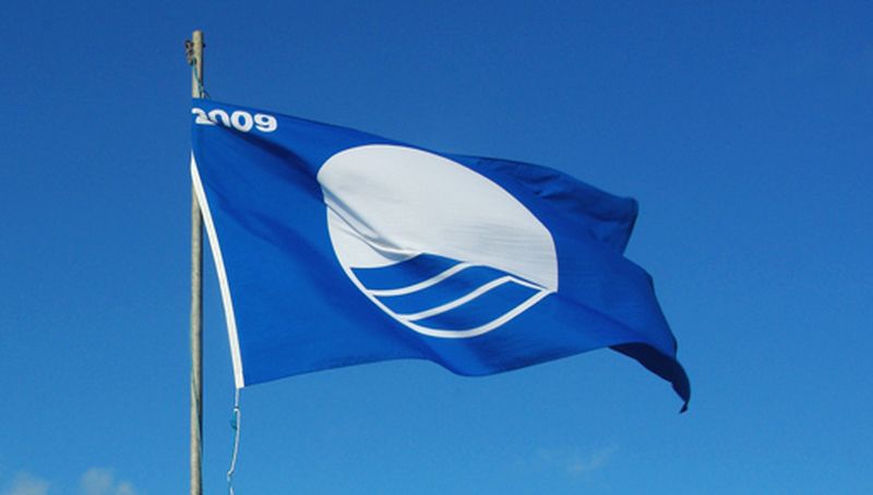 Blauwe vlag | © Ecomare, Foto Fitis, Sytske Dijksen