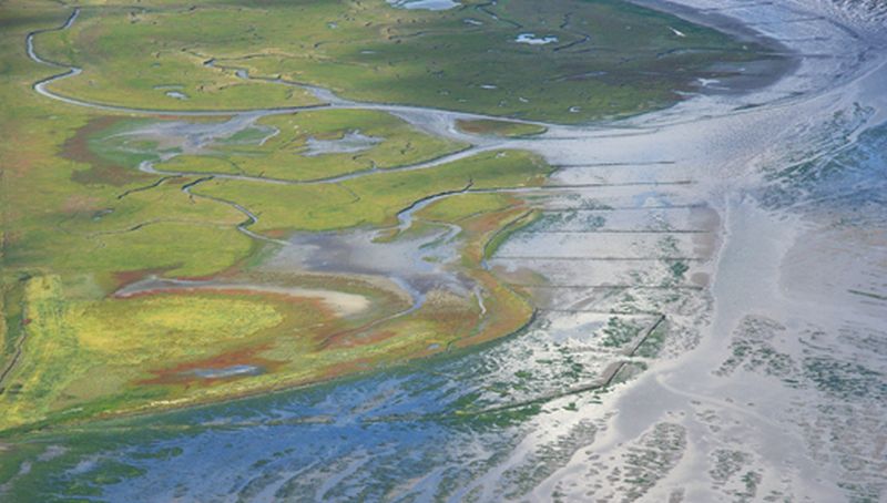 Schorrengebied Schorrengebied | © Foto Fitis, Sytske Dijksen