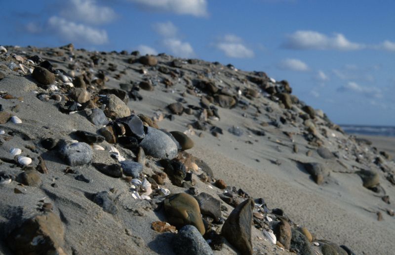 Stenen op het strand door strandsuppletie | © Ecomare, Foto Fitis, www.fotofitis.nl