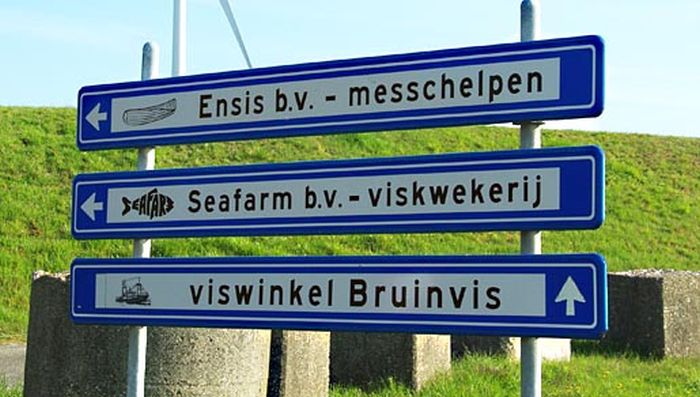 Ensisbedrijf in Zeeland | © Foto Fitis, Sytske Dijksen