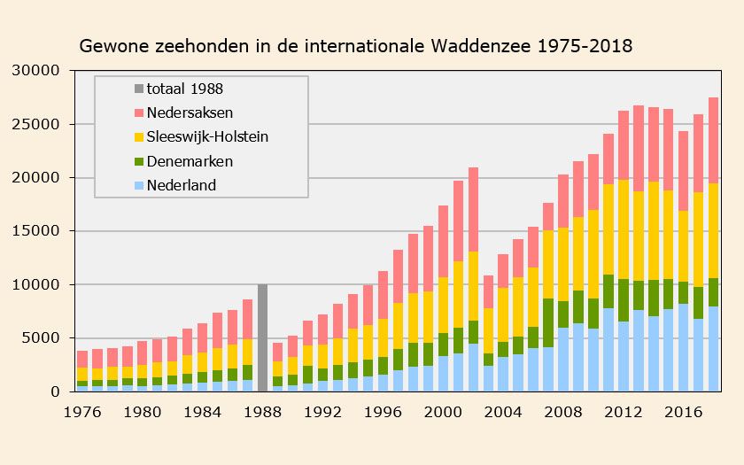 Aantallen gewone zeehonden  in de internationale Waddenzee (1975-2018) | © Ecomare