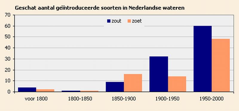 Exoten in Nederlandse wateren Exoten in Nederlandse wateren | © Ecomare