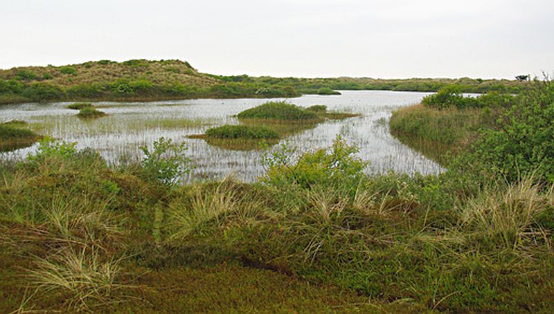 Griltjeplak | © Foto Fitis, Sytske Dijksen