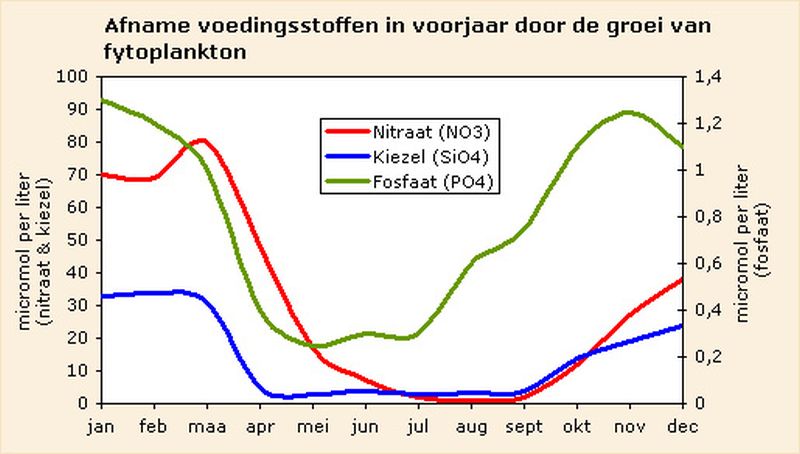 Afname voedingsstoffen, Marsdiep 1990-2000 | © Ecomare, uit: NIOZ