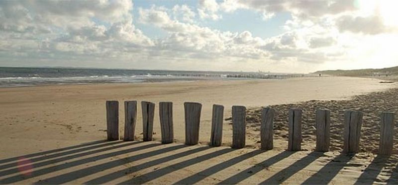 Palen op een strekdam | © Ecomare, Foto Jijamoka, via www.flickr.com