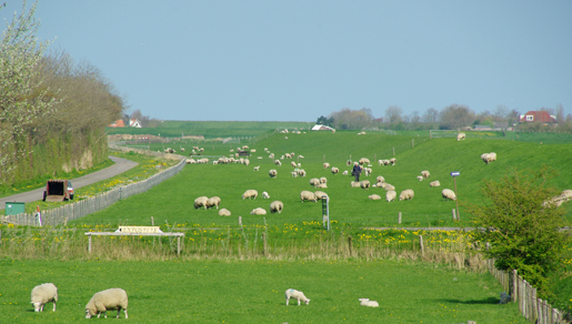 Polder het Noorden | © Foto Fitis, Sytske Dijksen