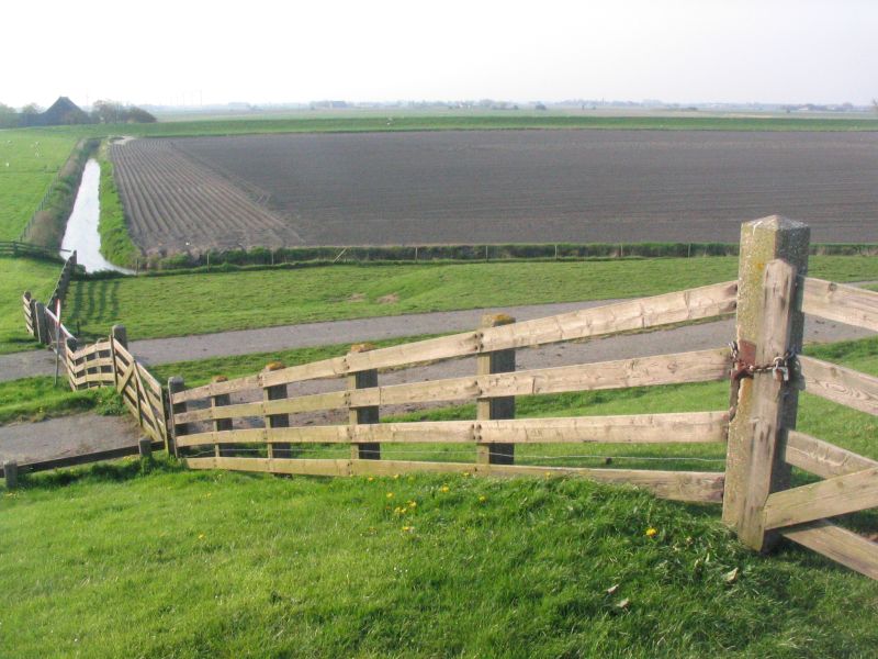 Polder achter de dijk (Koehool, Friesland) Polder achter de dijk (Koehool, Friesland) | © Ecomare, Oscar Bos
