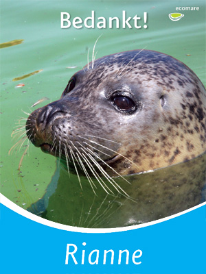 Zeehond | © Ecomare