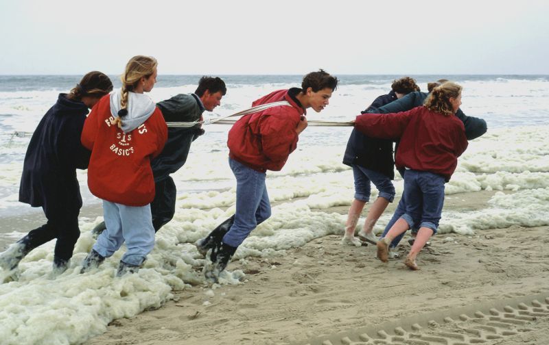 Veldwerk op het strand Veldwerk op het strand | © Ecomare
