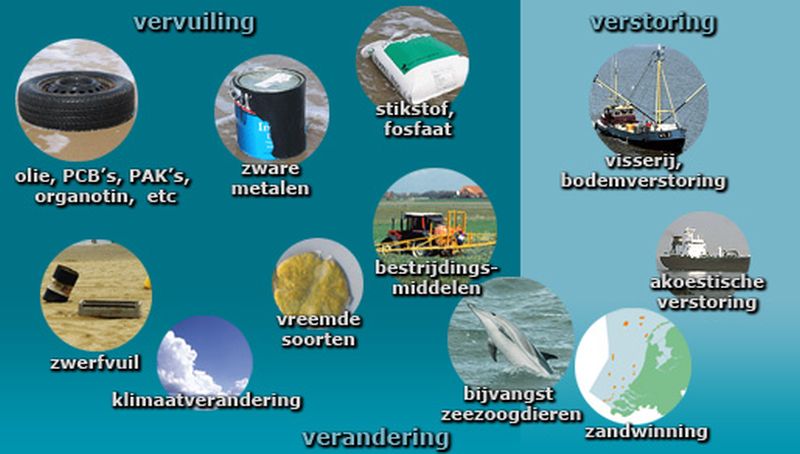 Vervuiling-Noordzee | © Ecomare