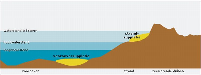 Profiel van de zandige kust, met vooroever | © Ecomare