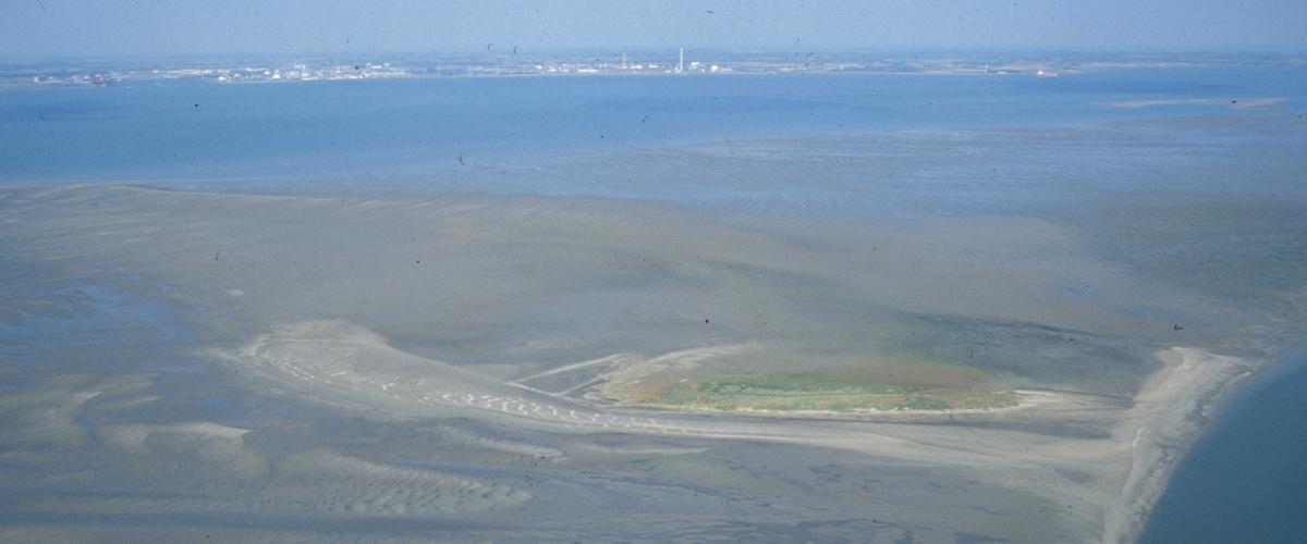 Hooge Platen (De Bol) in de Westerschelde | © Misjel Decleer