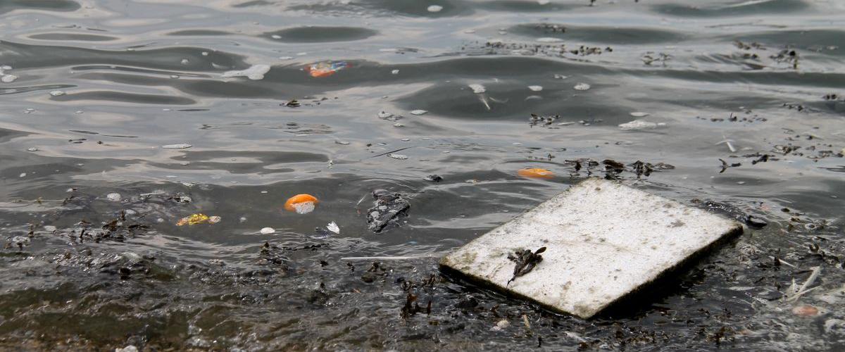 Waterkwaliteit | © VLIZ, Leontien De Wulf