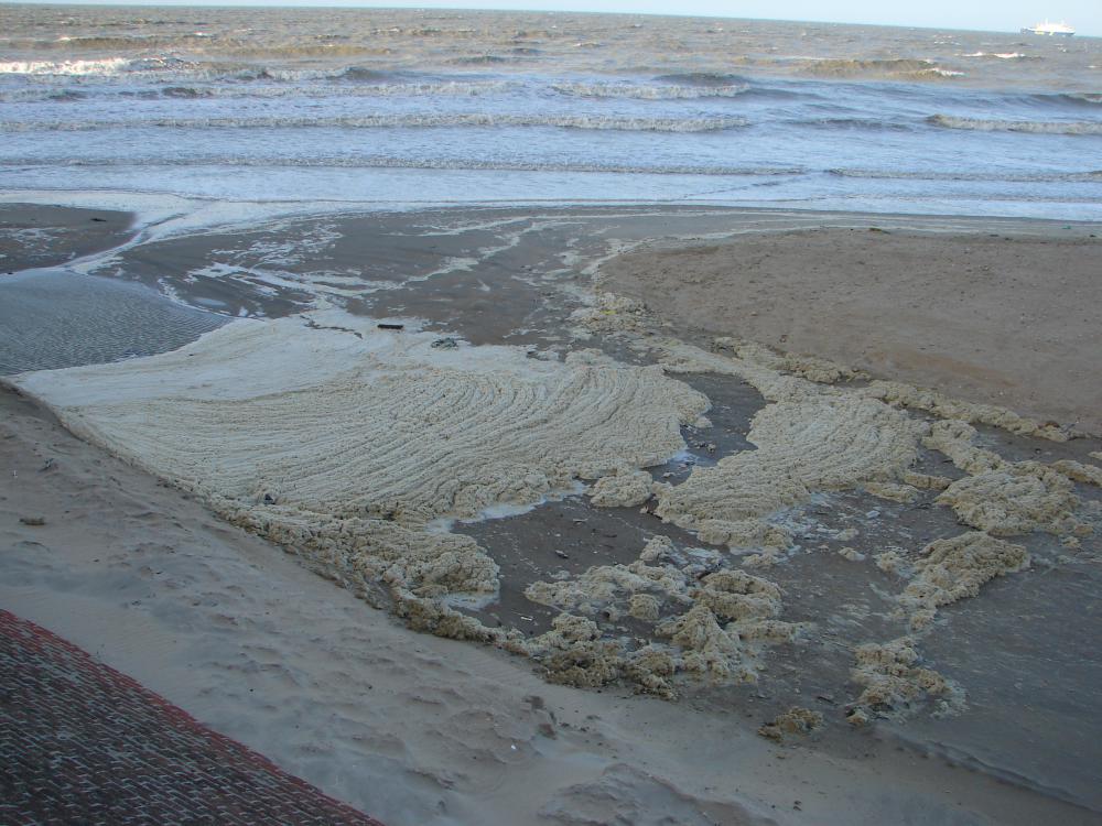 Slechte waterkwaliteit | © VLIZ, Nathalie De Hauwere