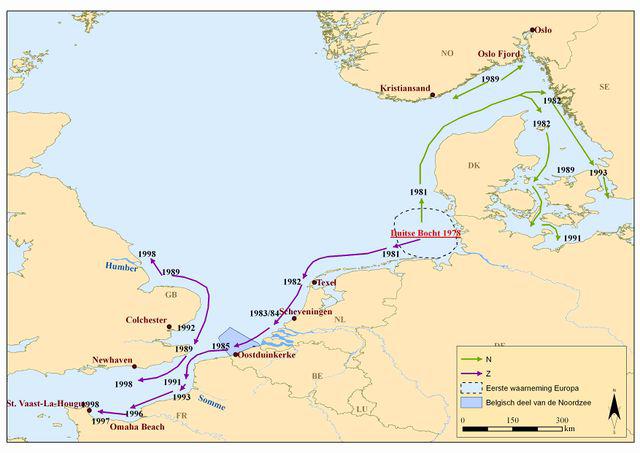 Introductie van de Amerikaanse zwaardschede in Europa | © VLIZ (naar Severijns, 2002)