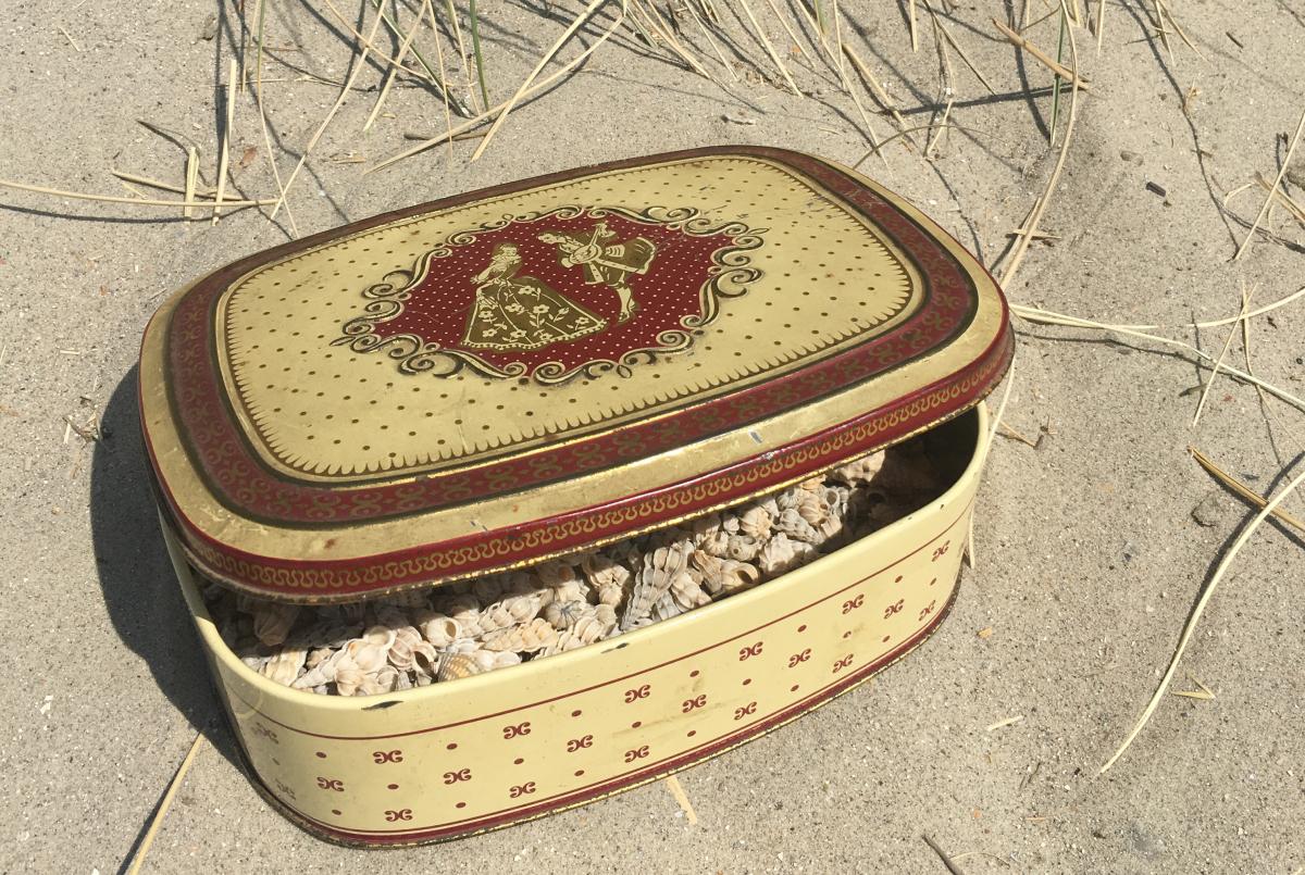 Gewone Wenteltrap Vleet gewone-wenteltrap-vleet