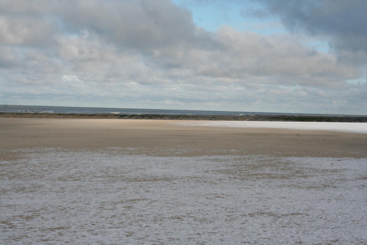 Strand in winter | © VLIZ, Evy Copejans