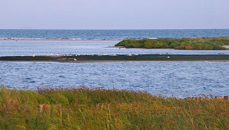 Oostzee, Zuid-Zweden | © Ecomare, foto fitis, sytske dijksen