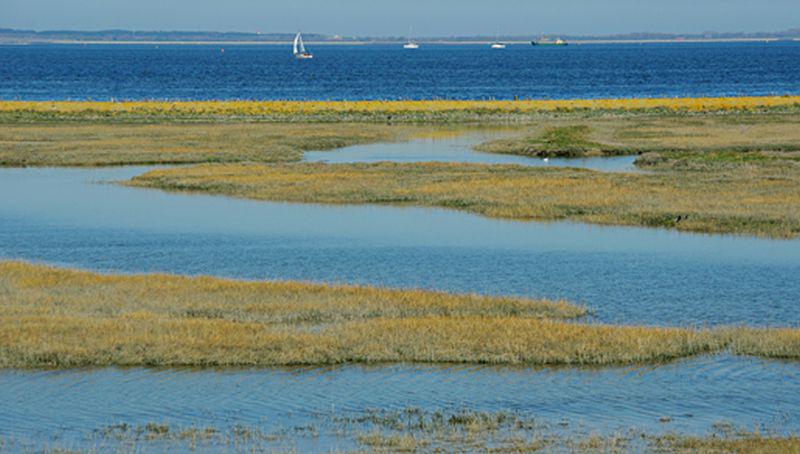 inlaag op Noord-Beveland | © Ecomare, foto fitis, sytske dijksen