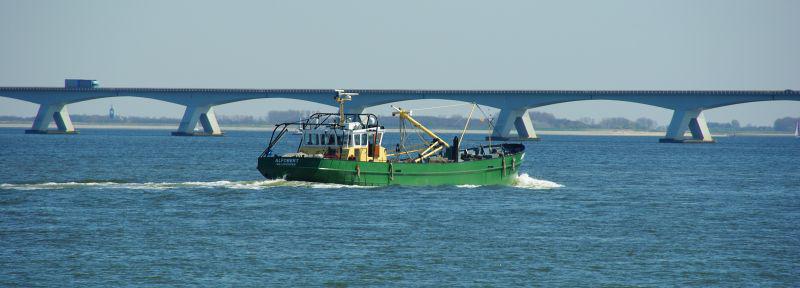 Oosterschelde | © Ecomare, foto fitis, sytske dijksen