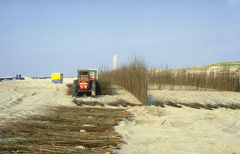 Plaatsen van takkenschermen | © Ecomare