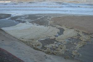 Slechte waterkwaliteit | © VLIZ, Nathalie De Hauwere