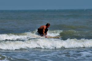 Surfer op de golven | © VLIZ, Leontien De Wulf