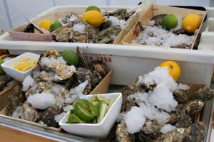 Consumptie-oesters | © Ecomare, Foto Fitis, Sytske Dijksen